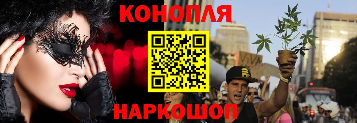 Бошки марихуана планчик  Бошки Шишки Ganja  Вход с VPN  Белорецк  Конопля сатива 